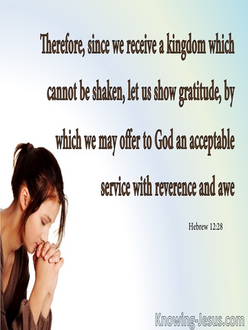 Hebrews 12:28  Offer God An Acceptable Service (aqua)